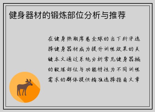 健身器材的锻炼部位分析与推荐